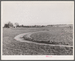 Terraced field. Greene County, Missouri