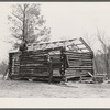 Evicted sharecroppers construct a cabin. Butler County, Missouri