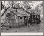 Cabins built by evicted sharecroppers. Butler County, Missouri
