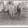 Taking down the washing at evicted sharecroppers' camp. Butler County, Missouri
