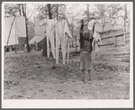 Taking down the washing at evicted sharecroppers' camp. Butler County, Missouri