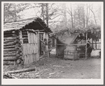 Home of evicted sharecropper. Butler County, Missouri