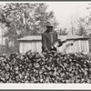 Evicted sharecroppers with firewood. Butler County, Missouri