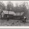 Evicted sharecroppers building shelters at temporary camp. Butler County, Missouri