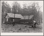Evicted sharecroppers building shelters at temporary camp. Butler County, Missouri