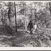 Carrying water from the spring. Evicted sharecroppers' camp. Butler County, Missouri