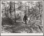 Carrying water from the spring. Evicted sharecroppers' camp. Butler County, Missouri