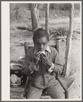 Evicted sharecropper's child eating orange from F.S.C.C supply. Butler County, Missouri