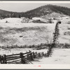 Mountain farm. Rappahannock County, Virginia