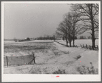 Farm. Montgomery County, Maryland