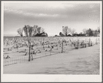 Farm. Marshall County, Iowa