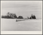 Farm. Grundy County, Iowa