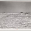 Melting snow. Hayes County, Nebraska