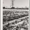 Melting snow. Hayes County, Nebraska