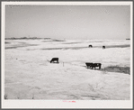 Farm. Hayes County, Nebraska