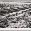 Melting snow. Hayes County, Nebraska