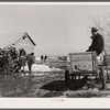 Farmers at auction. Zimmerman farm near Hastings, Nebraska