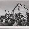 Auctioning farm equipment at Zimmerman farm near Hastings, Nebraska