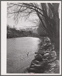Truckee River. Reno, Nevada