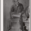 Separating gold ore samples at assay office. El Dorado Canyon, Nevada