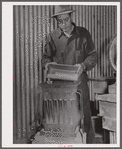 Separating gold ore samples at assay office. El Dorado Canyon, Nevada