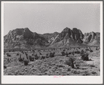 Approach to Pine Creek Canyon. Clark County, Nevada