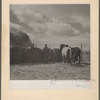 A rehabilitation client of Arroyo Seco, New Mexico, with team of horses purchased under a resettlement loan