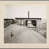 Sand piled up in front of outhouse on farm. Cimarron County, Oklahoma