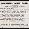 Beautiful Dixie Rose