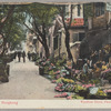 Wyndham Street, flower show