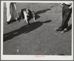 Woodville, California. FSA (Farm Security Administration) farm workers' community. Sons of migrant agricultural workers playing marbles