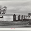 Woodville, California. FSA (Farm Security Administration) farm workers' community. Metal shelters for migrant farm families