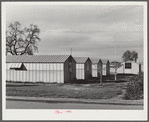 Woodville, California. FSA (Farm Security Administration) farm workers' community. Metal shelters for migrant farm families