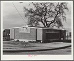 Woodville, California. FSA (Farm Security Administration) farm workers' community. Row of metal shelters