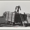 Cotton wagon, Tulare County, California