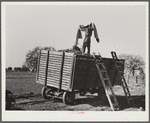 Cotton wagon, Tulare County, California