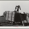 Cotton wagon, Tulare County, California