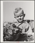 Woodville, California. FSA (Farm Security Administration) farm workers' community. Son of an agricultural worker