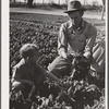 Woodville, California. FSA (Farm Security Administration) farm workers' community. Agricultural worker and his son in their garden