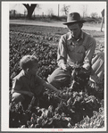 Woodville, California. FSA (Farm Security Administration) farm workers' community. Agricultural worker and his son in their garden
