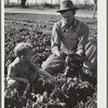 Woodville, California. FSA (Farm Security Administration) farm workers' community. Agricultural worker and his son in their garden