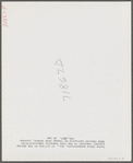 Eleven Mile Corner, Arizona. Cairns General Hospital. FSA (Farm Security Administration) farm workers' community. Nurse taking temperature of a patient