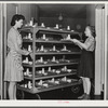 NYA girls deliver the trays at lunchtime at the Cairns General Hospital at the FSA  farm workers' community. Eleven Mile Corner, Arizona. These NYA girls live at the resident center at the FSA camp and receive training as nurses' helpers