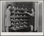 NYA girls deliver the trays at lunchtime at the Cairns General Hospital at the FSA  farm workers' community. Eleven Mile Corner, Arizona. These NYA girls live at the resident center at the FSA camp and receive training as nurses' helpers