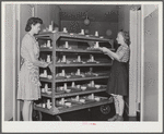NYA girls deliver the trays at lunchtime at the Cairns General Hospital at the FSA  farm workers' community. Eleven Mile Corner, Arizona. These NYA girls live at the resident center at the FSA camp and receive training as nurses' helpers