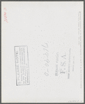 Eleven Mile Corner, Arizona. Cairns General Hospital. FSA (Farm Security Administration) farm workers' community. Laboratory technician