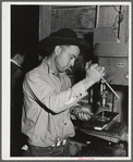 Pinal County, Arizona. Defense training project, U.S. Department of Education. The welding school