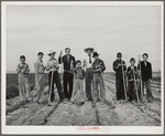 Eleven Mile Corner, Arizona. FSA (Farm Security Administration) farm workers' community. Boys learning to garden in the vocational training class. This is vocational training as provided for in the Smith-Hughes bill