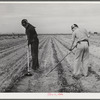 Eleven Mile Corner, Arizona. FSA (Farm Security Administration) farm workers' community. Boys learning to garden in the vocational training class. This is vocational training as provided for in the Smith-Hughes bill