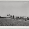 Mormon farmer driving cooperative fruit sprayer to his orchard. Cache County, Utah